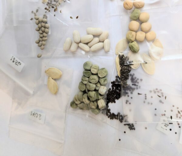 Veggie Seed Saving Kit - Image 2