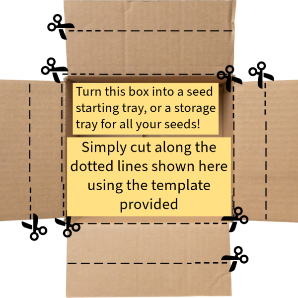 Veggie Seed Saving Kit - Image 8